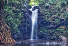 Banyak Menyimpan Kisah Mistis, Ini Tempat Angker yang Ada di Kuningan