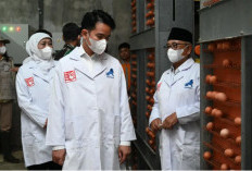 Peternakan Cerdas Jadi Kunci Ketahanan Pangan