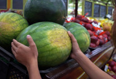 Gak Semua Buah Itu Baik, Perhatikan Hal-Hal Berikut Sebelum Memilih Buah