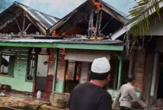 3 Rumah Warga Arga Mulya Ludes Terbakar, Korban Selamat