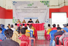 Rencana Pembangunan Pelabuhan di Ketahun, Tahap Konsultasi Publik