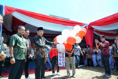 Aplikasi Loker Merah Putih, Inovasi Digital Mudahkan Pencaker