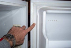 Jarang Diketahui, Begini Cara Membersihkan Karet Pintu Kulkas yang Membandel