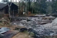 Rumah Warga Manunggal Jaya Ludes Terbakar, Kerugian Ditaksir Puluhan Juta Rupiah