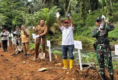 Zoom dengan Gubernur, Pemkab Bengkulu Utara Tanam Pohon di Area DAS PT SIL