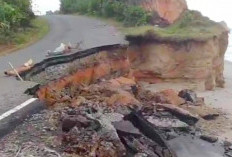 Jalan Urai–Ketahun Rusak Parah, Wagub Mian Minta BPJN Segera Perbaiki