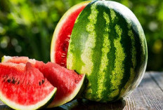 Dapat Menggoda Selera,  Yuk Cari Tahu Makna dari Mimpi Buah Semangka