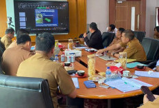 Dukungan Terbelah, Pro Kontra Sawitisasi Enggano! Ancam Investasi 'Hijau' Tepung Pisang  