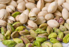 Mengenal Segudang Manfaat Dari Kacang Pistachio Untuk Kesehatan Tubuh yang Jarang Diketahui