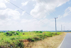 HGU PT Air Muring Berakhir 2026, Usulan Inclave Desa Suka Medan Belum Ada Kepastian