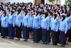 ASN Bisa Duduki Jabatan di TNI-Polri, Begitu Juga Sebaliknya