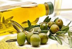 Ketahui Manfaat Minyak Nabati Untuk Kesehatan Tubuh