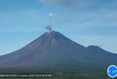Berstatus Awas, Gunung Semeru Erupsi Delapan Kali