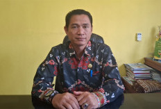 Beras Cadangan Tuntas Disalurkan, Telur di Enggano Melambung