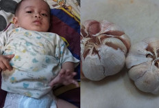 Boleh Dicoba, Begini Cara Mengeluarkan Dahak Pada Bayi Menggunakan Bawang Putih