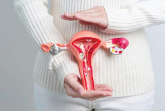 Bantuan 500 Vaksin HPV Gratis, Upaya Konkret Lindungi Perempuan Indonesia