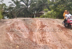 Ekonomi Desa di Sepanjang Ketahun-Napal Putih Terancam Lumpuh, Dampak Jalan Rusak Parah