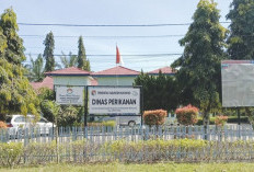 Dibantu Mesin dan Akta Notaris Gratis, Nelayan Mukomuko Kian Berdaya