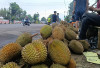 Dikenal Si Raja Buah ! Temukan Manfaat Buah Durian Bagi Kesehatan Tubuh