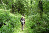 Mengulik Tren Forest Bathing : Tips Relaksasi ala Orang  Jepang untuk Kesehatan Fisik dan Mental