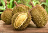 6 Jenis Durian yang Paling Populer, Mana Nih yang Sudah Anda Coba?