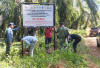 Satgas PKH Segel 4 Lokasi Termasuk di Konsesi PT API, Tegaskan Komitmen Jaga Hutan