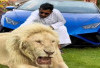 10 Hewan Buas Peliharan Para Sultan di Uni Emirat Arab
