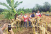 Program Ketahanan Pangan Jagung Desa Air Pandan Sukses, Hasil Panen Melimpah